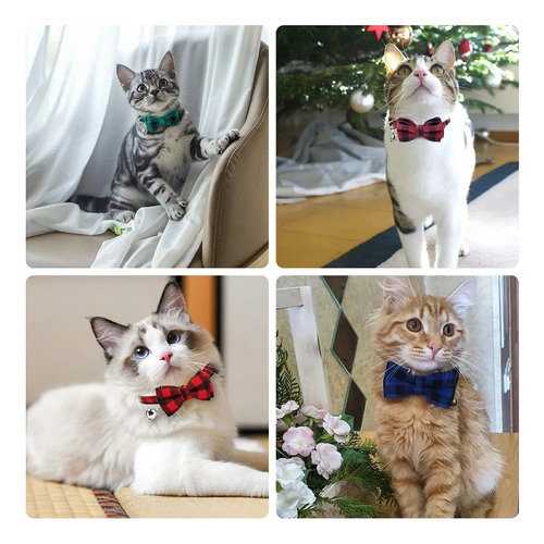 Collares Para Gatos Collar De Gato Con Cascabeles