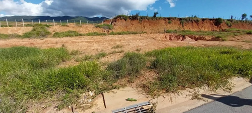 Terreno Com Ótima Topografia Com De 250m