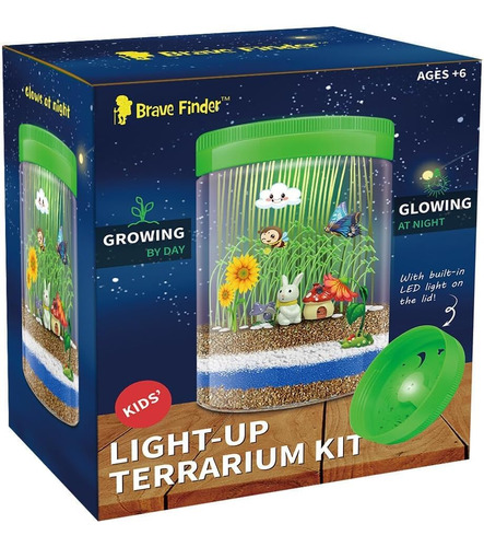 Kit De Terrario Luces Led De Colores Tapa Niños, Regal...