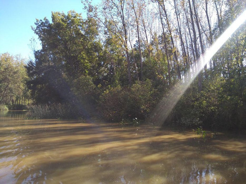 Imagen 4 de 19 de Quinta - Las Cañas