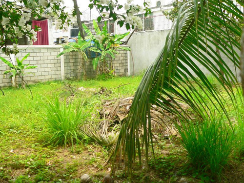 Venta Terreno 410 M² Col. Amp. Ruiz Cortinez Tuxpan Veracruz