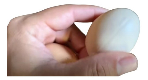 2 Huevos Artificiales Para Gallinas Ponedoras De Bioplástico Blanco