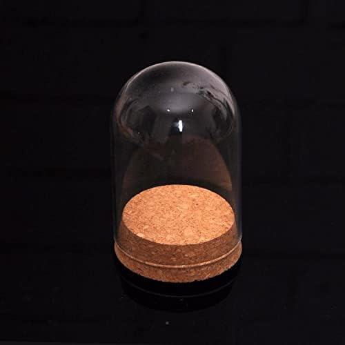 Sm Sunnimix Campana De Vidrio Con Florero De Micro Paisaje P