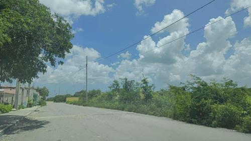 Terrenos En Progreso, A Una Cuadra De La Carretera Merida Progreso
