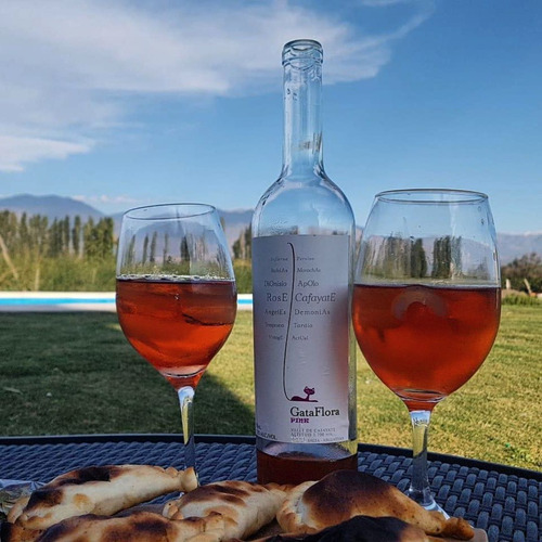 Vino Gata Flora Pink Rose 6x750 Ml-bod Vasija Secreta