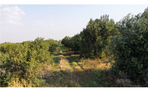 Finca De 54 Has Y 3800 M2 Has En 3 De Mayo Lavalle