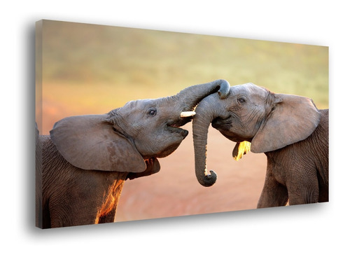 Cuadros Decorativos Elefantes Moderno, Sala, Animales Africa