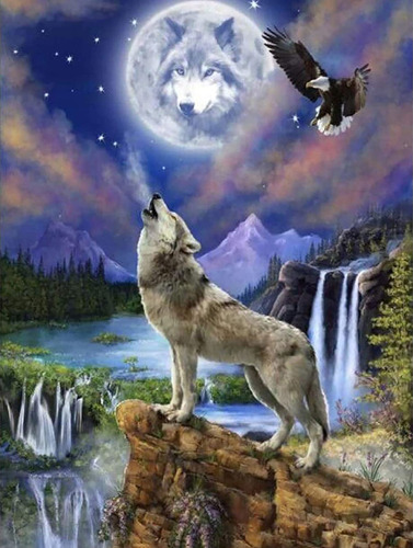 Pintura Diamante 5d Lobo Aguila Kits Arte Animal Iluminado X