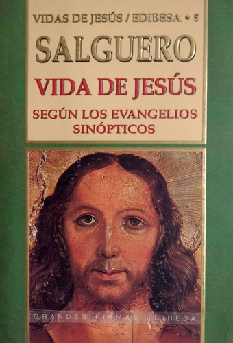 Libro Vida De Jesús Según Los Evangelios Sinópticos 