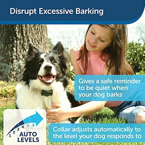 Petsafe Basic Bark Control Collar