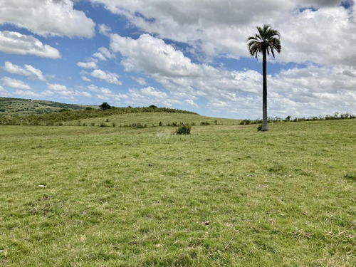 Imagen 5 de 21 de Venta Chacra Sierra Ruta 39 Aigua Sierra De Los Caracoles Maldonado