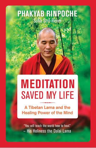 Libro Meditation Saved My Life-inglés