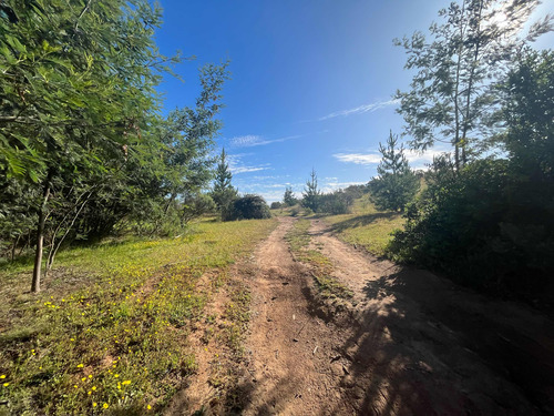 Terreno En Arriendo Con Alto Potencial Multipropósito