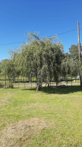 Imagen 8 de 8 de Oportunidad!! Terreno De 500 M2, Muy Buena Ubicacion