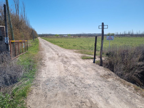 Venta De Chacra En Cervantes, 18 Hectareas