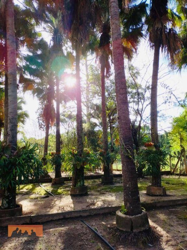 Imagem 24 de 30 de Chácara À Venda, 4034 M² Por R$ 1.500.000,00 - Residencial Burato - Campinas/sp - Ch0040