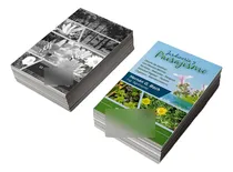 Comprar 2500 Volantes 10x15cm - Folletos - Flyer - Full Color 4\u002F4