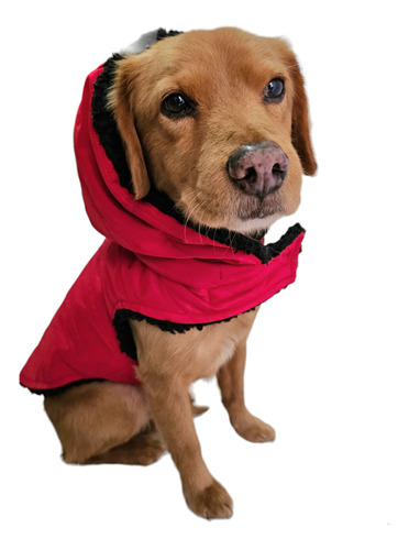 Chamarra Para Mascota Impermeable Capucha Para Perro / Gato