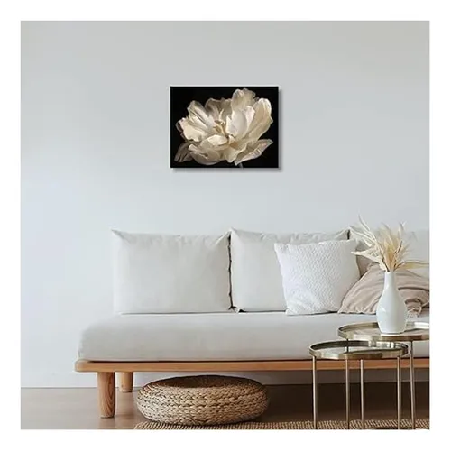 Decoración De Baño Negro Tulipán Blanco Sobre Fondo