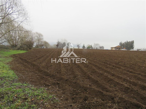 Imagen 20 de 30 de Agrícola En Venta En Teno