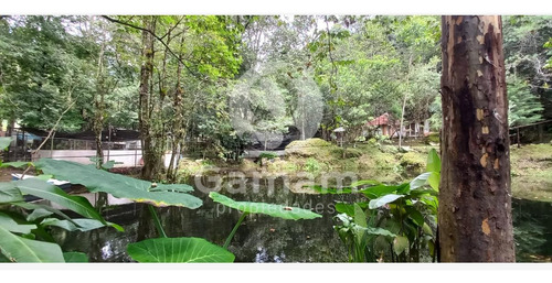Terreno En Venta En El Texme Con Centro Ecoturistico Operativo