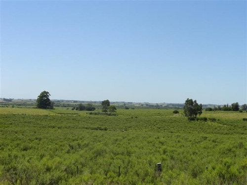 Campo En Venta En Las Cañas