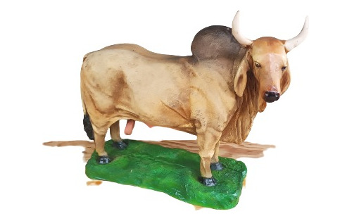 Toro Cebú. Escultura De Resina