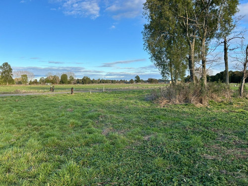 M&k Vende Parcela Hermosa Vista Cond. La Reserva Frutillar
