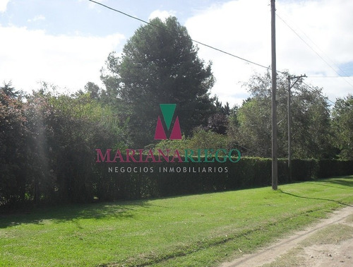 Imagen 24 de 30 de Importante Casa Quinta