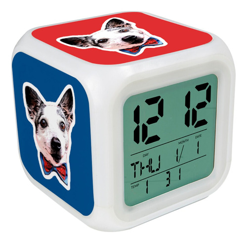 Reloj Despertador Con Tu Mascota Ilustrada R3