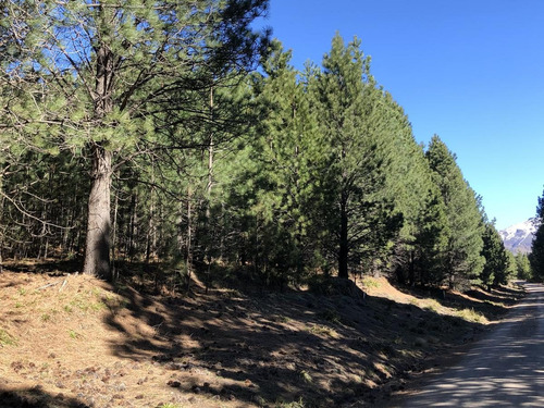 Imagen 7 de 13 de Venta 3 Lotes Linderos Chapelco Golf - San Martin De Los Andes