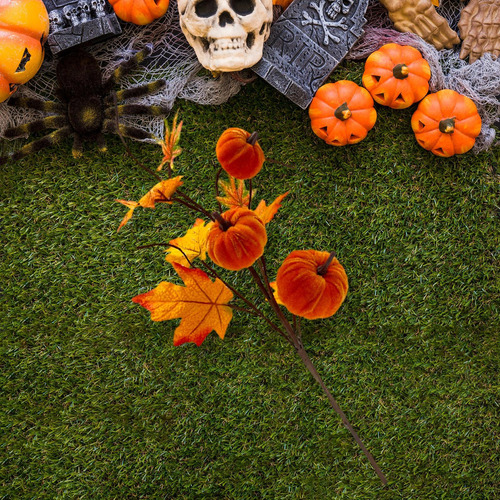 De Calabazas Festivas De Otoño Y Ramas De Hojas De Arce