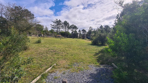 Oportunidad-terreno Con Acogedor Monoambiente-bajo Precio