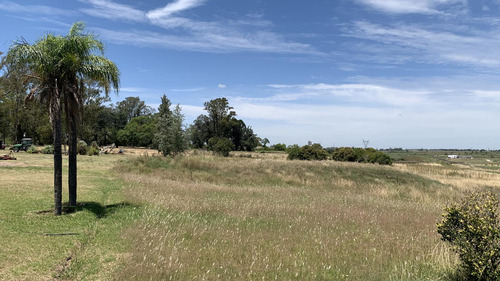 Venta Lote 664 M2 Zarate Golf Park