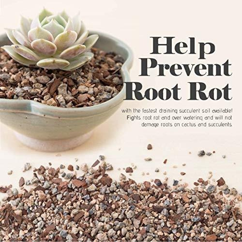 Imagen 2 de 7 de Herramientas Para Bonsai Suelo De Cactus Y Suculentas Bonsai