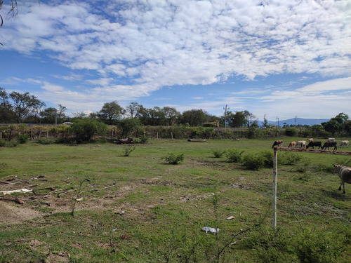 Terreno En Venta En Ameca, Jalisco.