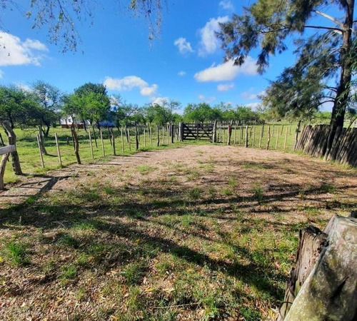 Imagen 8 de 29 de Oportunidad Campo Ganadero En Federal Entre Ríos