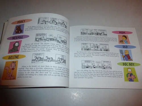 Garfield's Twentieth Anniversary Collection (Usado)