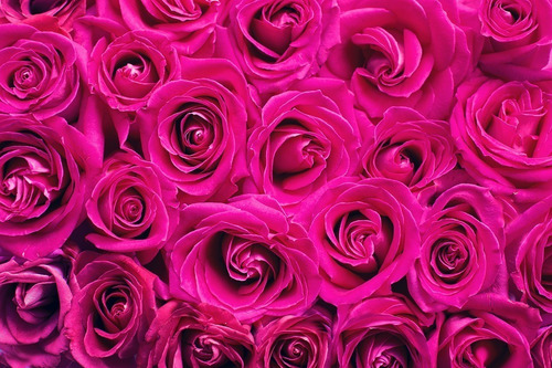 Imagen 5 de 5 de Agua De Rosas Con Agua De Hamamelis Tónico Facial 5 Litros