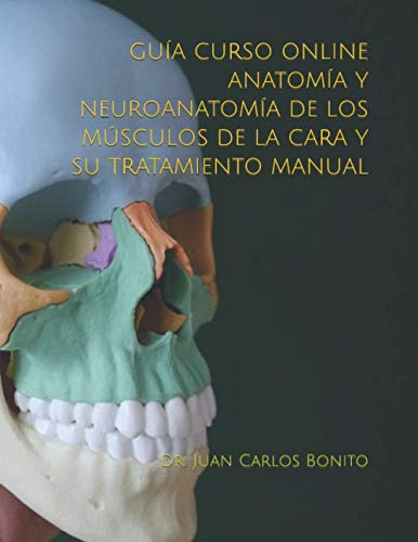 Curso Online Anatomia Y Neuroanatomia De Los Musculos De La