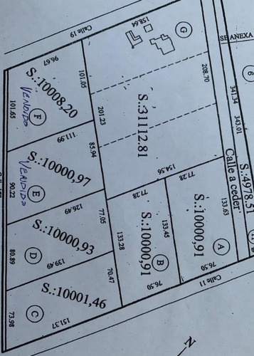 Imagen 4 de 5 de Venta- Loteo De 1 Hectarea