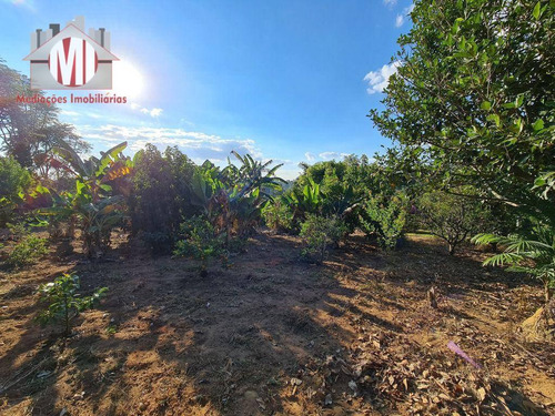 Imagem 25 de 30 de Ótima Chácara, Com 3 Dormitórios, Campinho De Futebol, Pomar, Horta, Bem Localizada, À Venda, 4400 M² Por R$ 360.000 - Rural - Socorro/sp - Ch0972