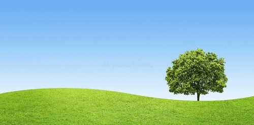 Imagem 6 de 14 de S12- Oportunidade Imperdível
