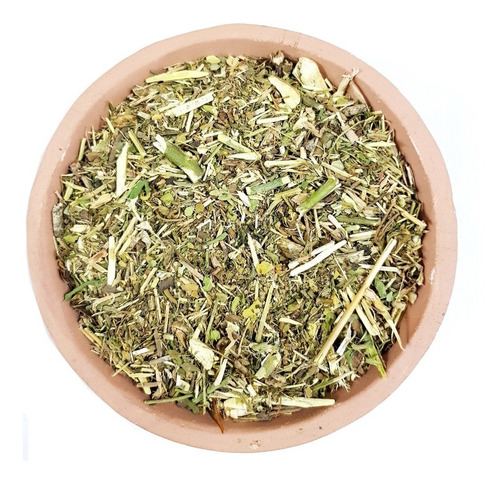 Ruda Hierba Medicinal X 250 Gramos - Arcana Caeli