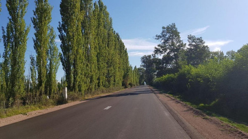 Imagen 5 de 28 de Vendo/permuto Finca Apto Todo Destino (viña, Cultivos Grales Y Ademas Cannabis Medicinal) O Loteo Club De Campo -alto Del Algarrobal-san Rafael -mendoza Sobre Rn 146 Km 376.1