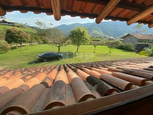 Imagem 13 de 16 de Chácara À Venda No Bairro Fernandes - São João Batista/sc - 1971c