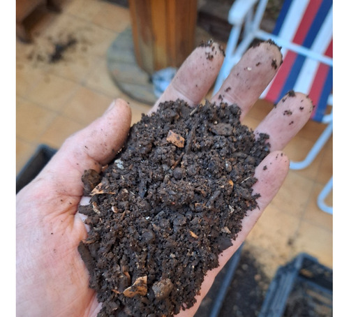 Servicios De Jardinería Y Paisajismo