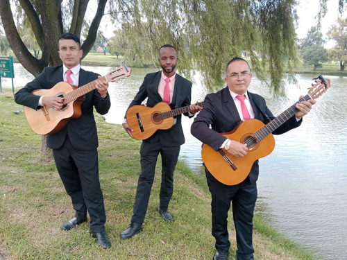 Imagen 1 de 3 de Serenatas De Trio Bogotá - Música De Cuerda - Cumpleaños -
