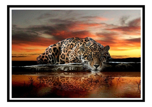 Set De Pintura 5d Diamante, Atardecer De Leopardo, 40x30 Cm