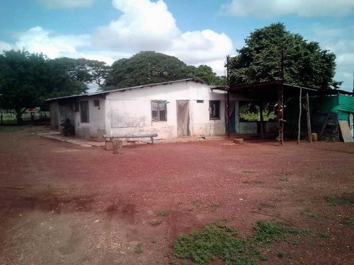Imagen 25 de 26 de Finca En Venta ,calabozo Guarda Tinajas